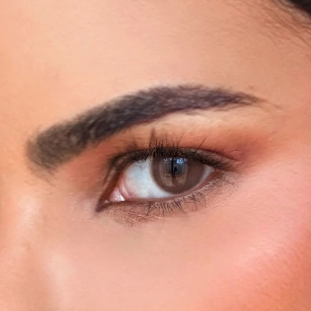 The close-up image