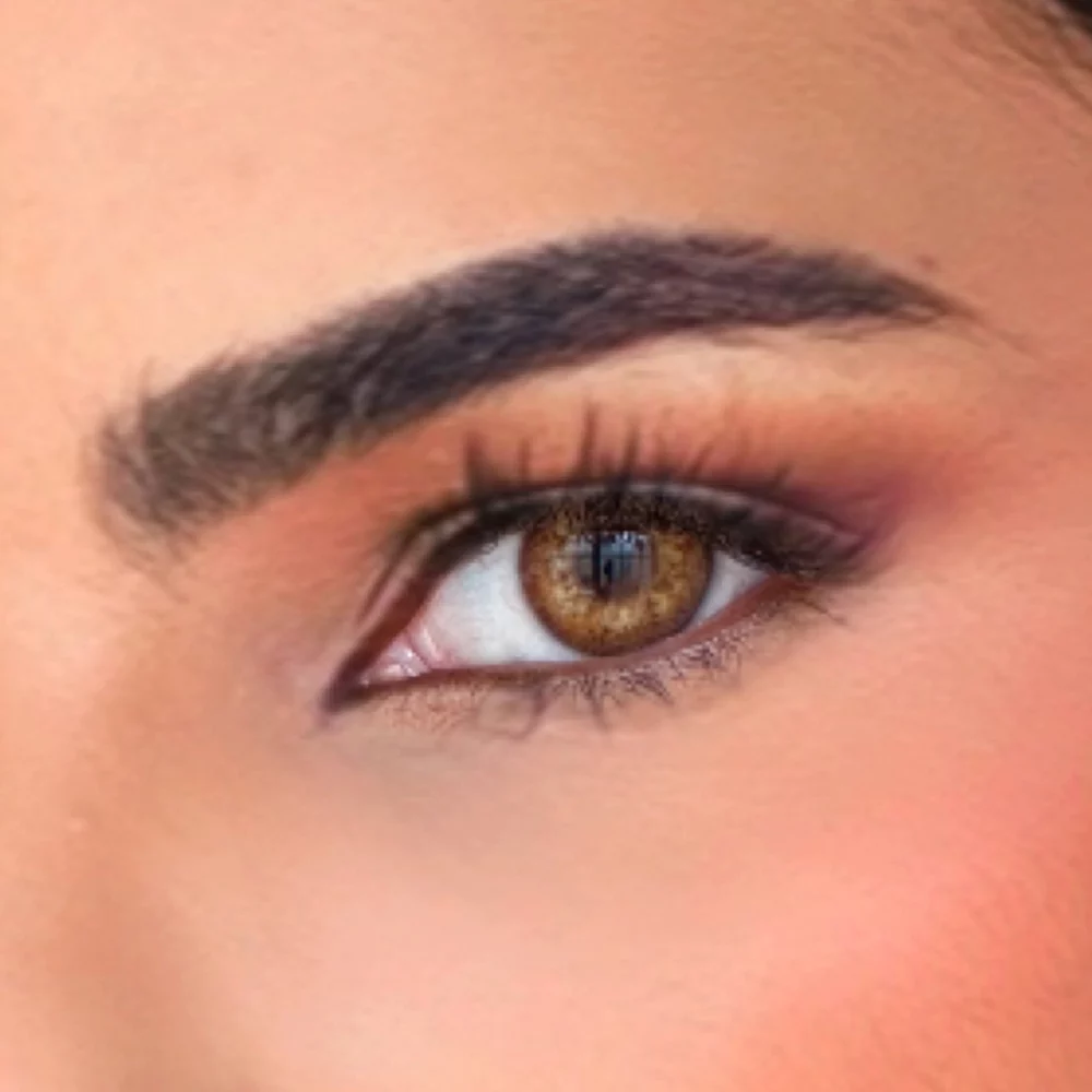 The close-up image